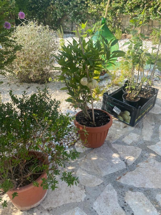 Apulia Casa E Cucina Bed & Breakfast Trani Ngoại thất bức ảnh